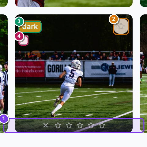An album grid card hovered, showing the rating strip and corner buttons
