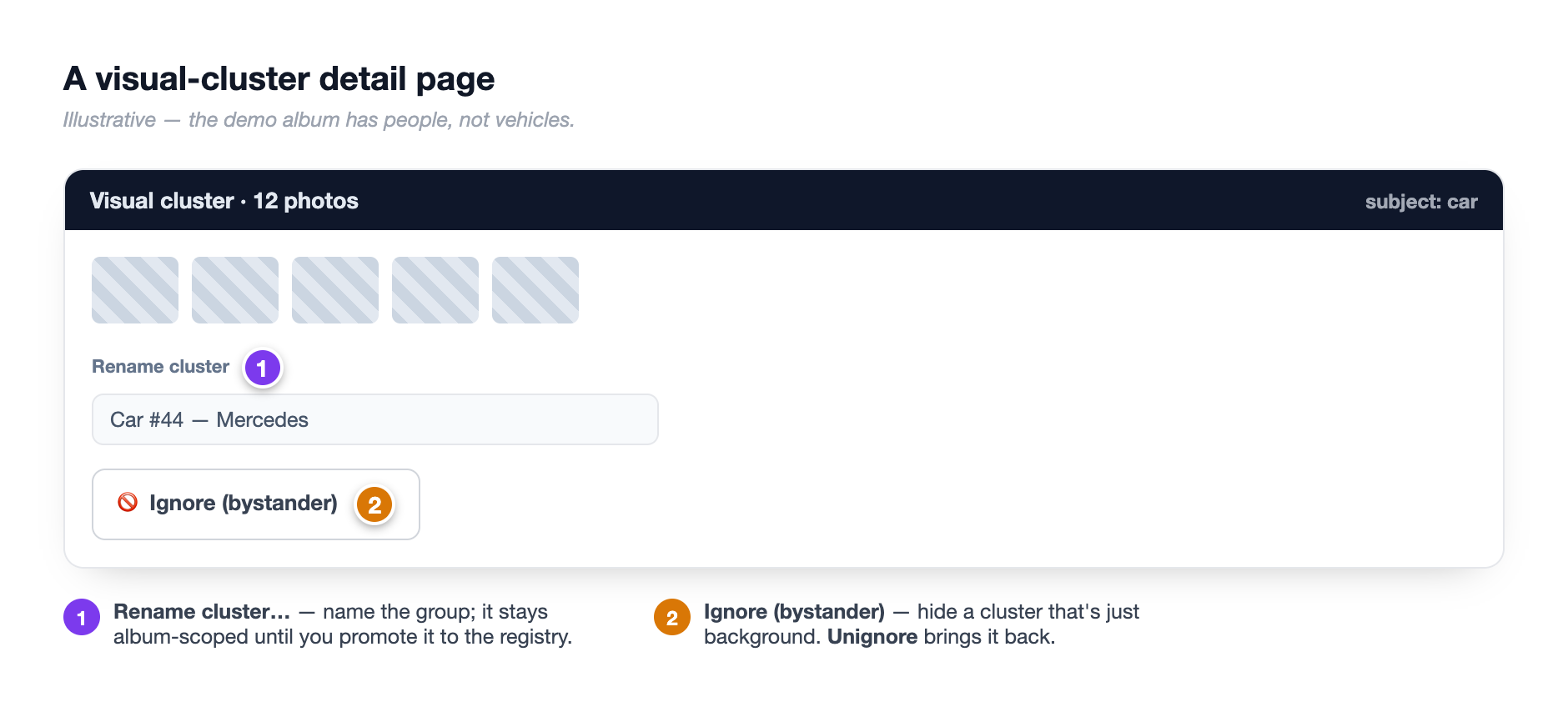 The visual-cluster detail page with the rename field and the Ignore button