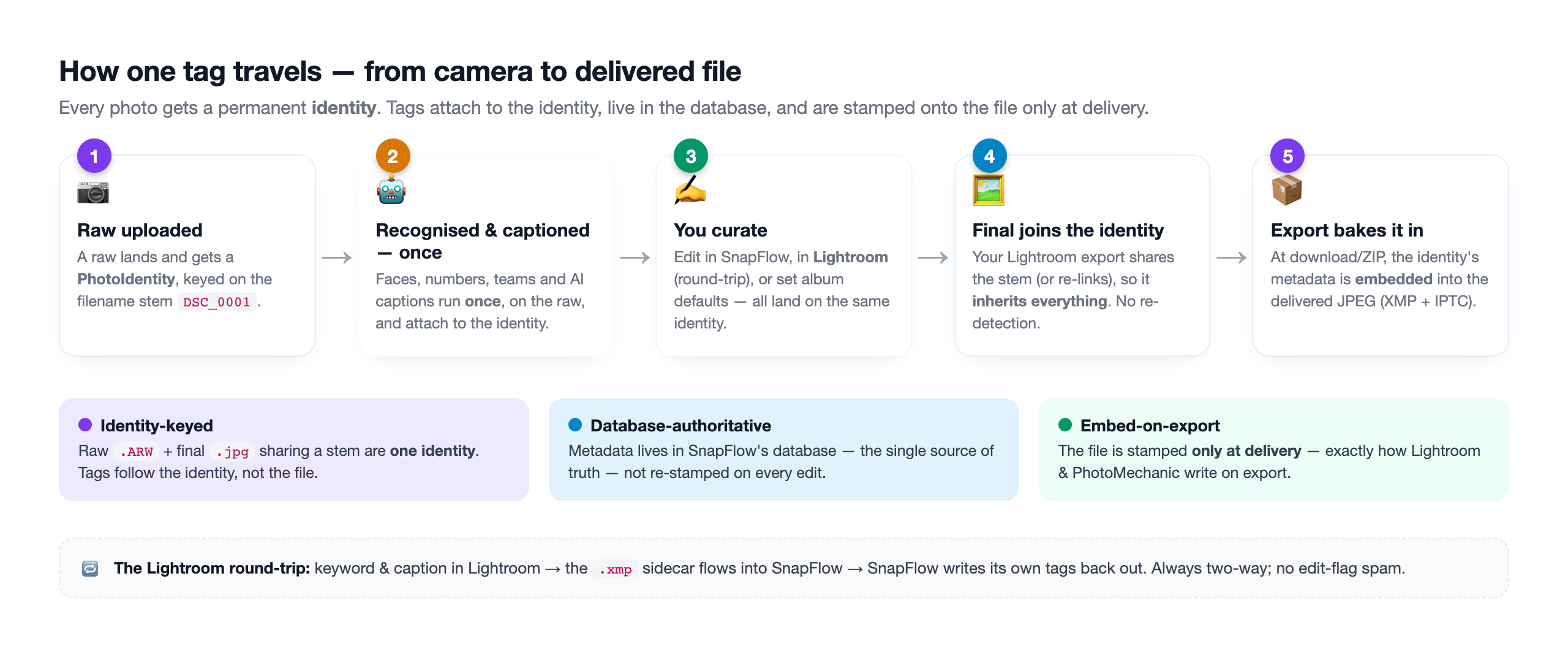 A flow banner: RAW uploaded, then identity created by stem, then recognition and AI run once, then curation, then the final joins the same identity, then export bakes everything onto the delivered file.