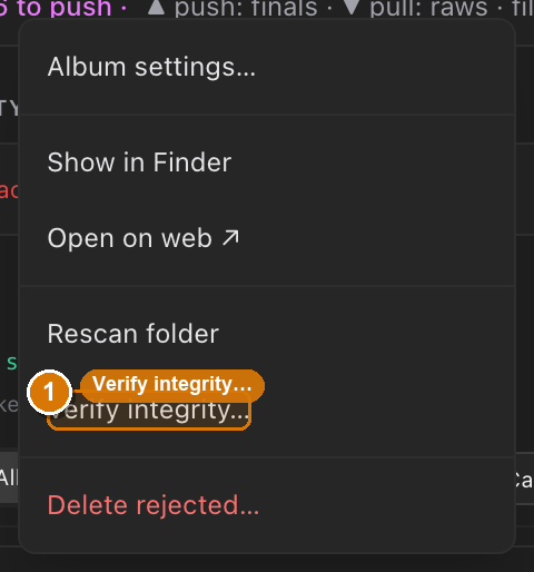 The album ⋯ menu open, with Verify integrity… highlighted